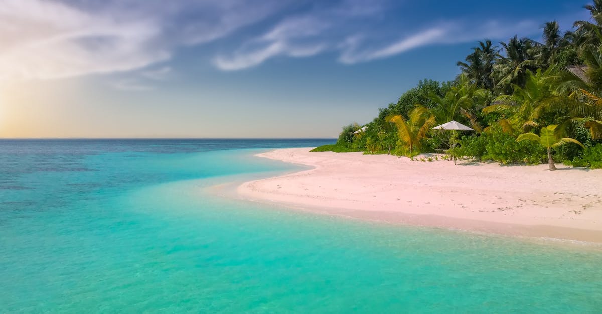 découvrez les plus belles plages du monde, où le sable doré et les eaux turquoise vous invitent à la détente et à l'aventure. que vous cherchiez une escapade paisible ou des activités nautiques palpitantes, nos guides vous aideront à trouver la plage idéale.