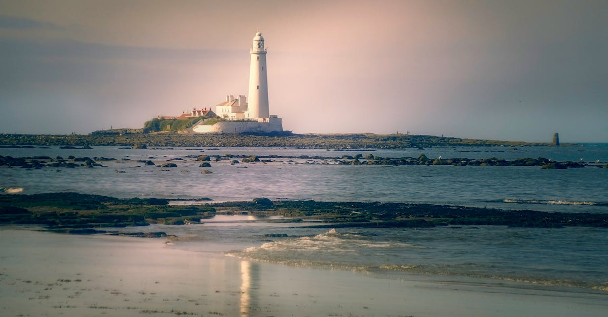 découvrez notre guide complet des plages : conseils pratiques, activités, meilleures destinations et astuces pour profiter pleinement de votre journée au bord de la mer.