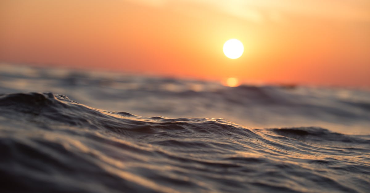 découvrez notre plage paradisiaque, un véritable havre de paix où le sable doré rencontre les eaux turquoise. profitez de moments de détente, d'activités nautiques et de paysages à couper le souffle. idéal pour les familles, couples ou amis en quête d'évasion.