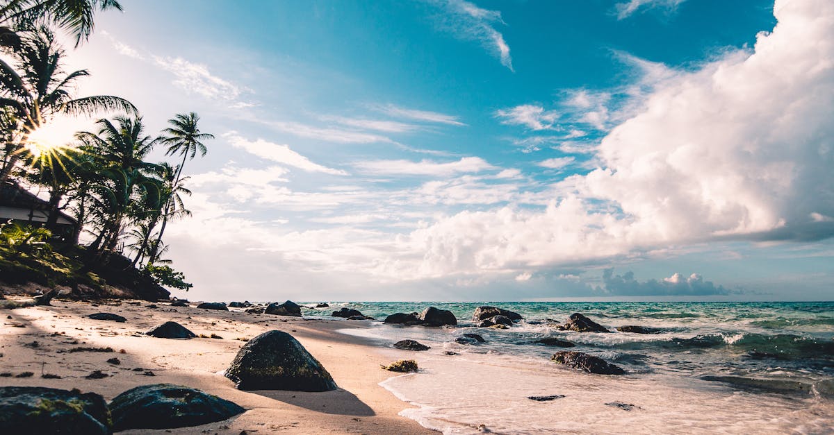 découvrez les plus belles plages du monde, idéales pour se détendre, profiter du soleil et pratiquer des activités nautiques. explorez des destinations paradisiaques qui vous promettent des souvenirs inoubliables.