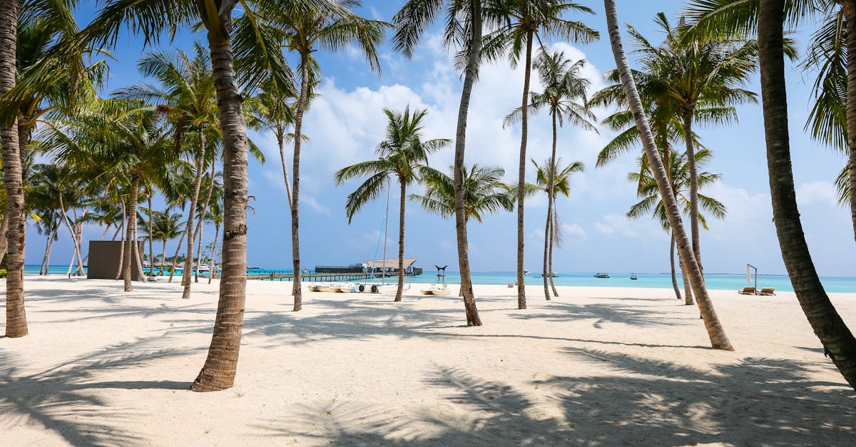 découvrez les plus belles plages du monde, des eaux cristallines aux sables dorés. explorez des destinations paradisiaques, des activités nautiques excitantes, et profitez de moments inoubliables au bord de la mer.