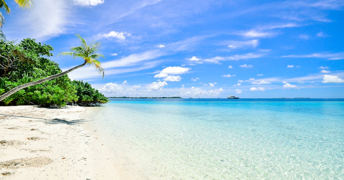 découvrez les plus belles plages du monde, des cieux azurés aux sables dorés. profitez des activités nautiques, des paysages à couper le souffle et de moments de détente au bord de l'eau. parfait pour des escapades en famille, entre amis ou en amoureux.