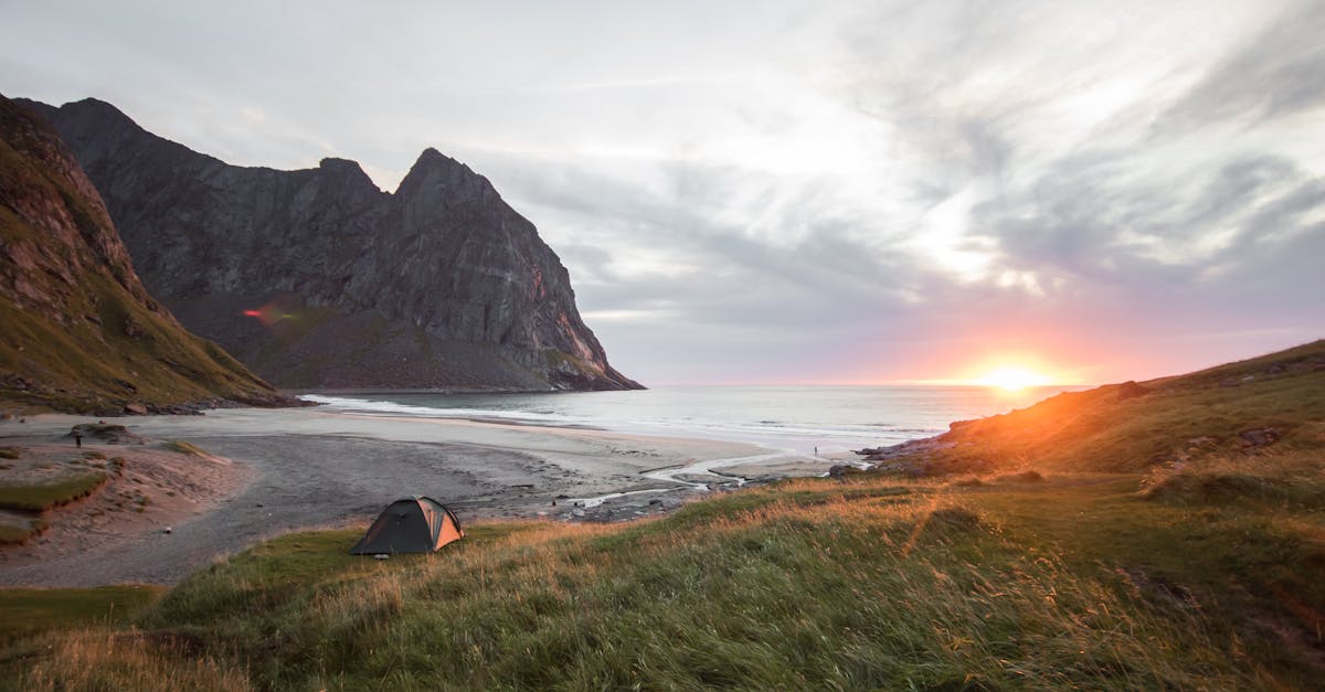 découvrez l'univers du camping : des aventures en pleine nature, des conseils pour choisir votre matériel, des idées d'emplacements idylliques et des astuces pour profiter au maximum de votre séjour en plein air.