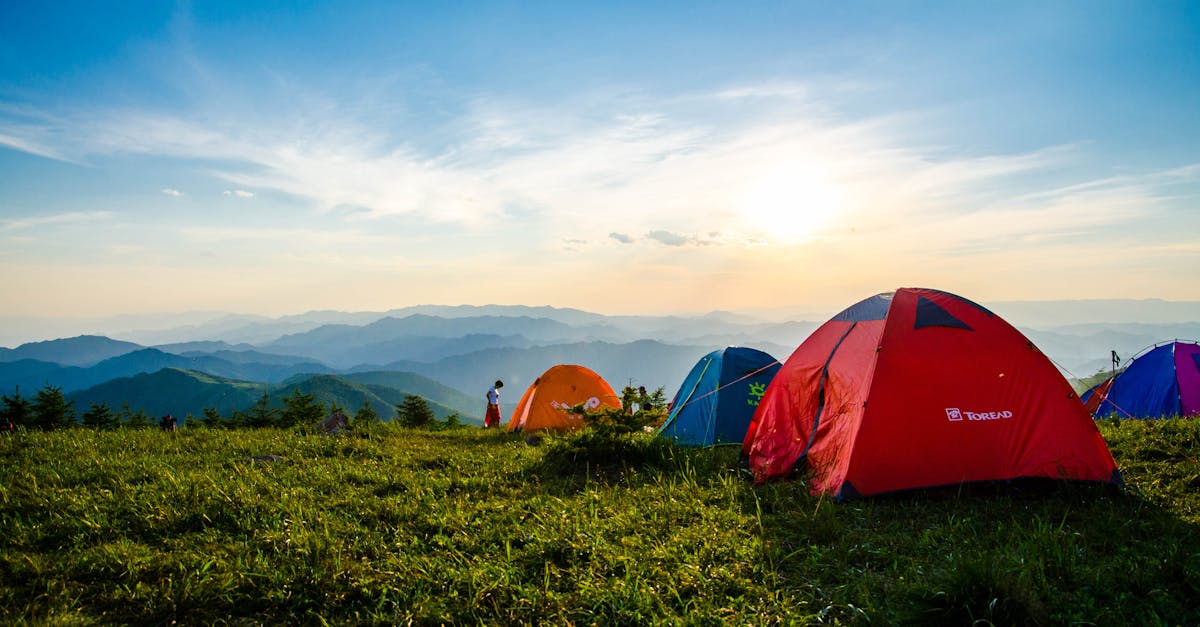 découvrez nos conseils et astuces pour un camping inoubliable en pleine nature. que vous soyez aventurier ou en famille, explorez les meilleures destinations, équipements indispensables et recettes savoureuses pour profiter pleinement de votre expérience en plein air.