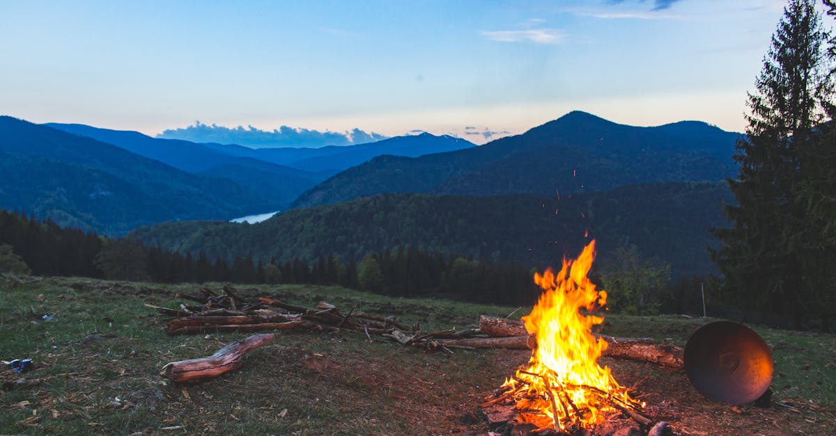 découvrez le plaisir du camping au cœur de la nature ! profitez d'une expérience inoubliable en pleine air, que ce soit en famille, entre amis ou en solo. explorez des paysages magnifiques, participez à des activités en plein air et reposez-vous sous les étoiles. réservez votre escapade dès maintenant !