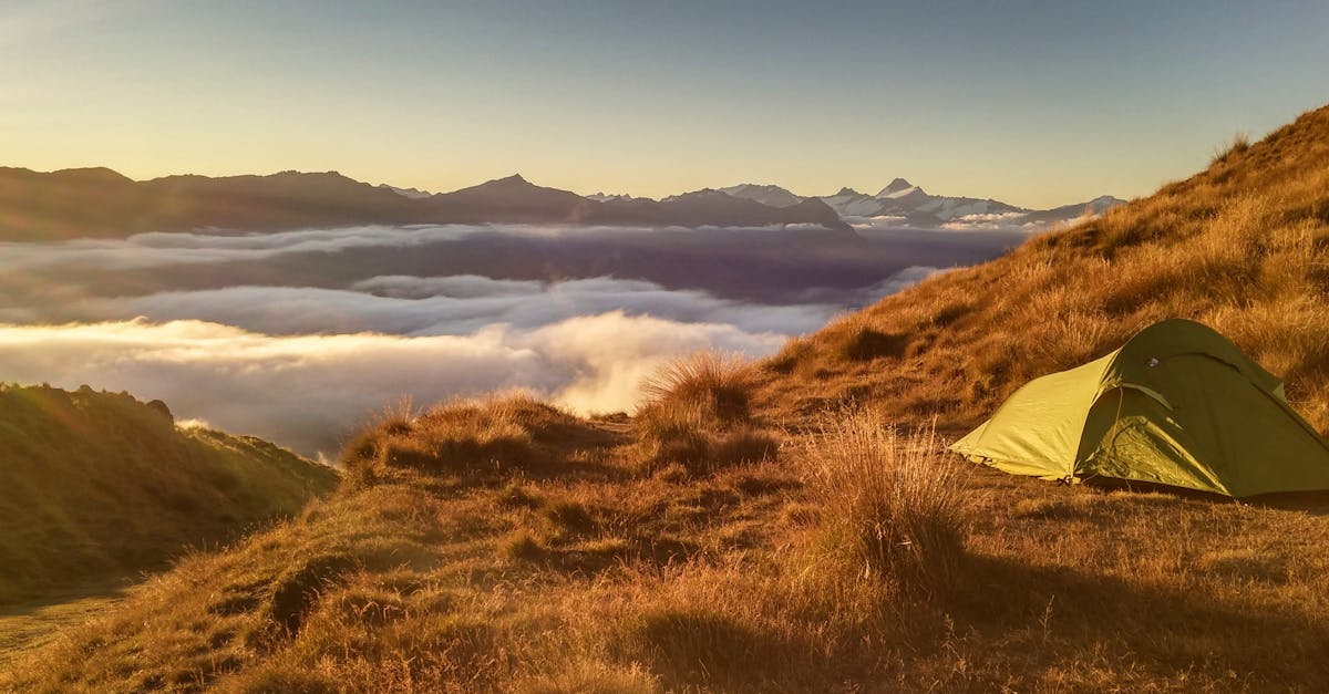 découvrez l'univers du camping : échappez au quotidien, connectez-vous à la nature et explorez des sites exceptionnels. que vous soyez en famille, entre amis ou en solo, trouvez des conseils pratiques et des astuces pour vivre une expérience inoubliable sous les étoiles.