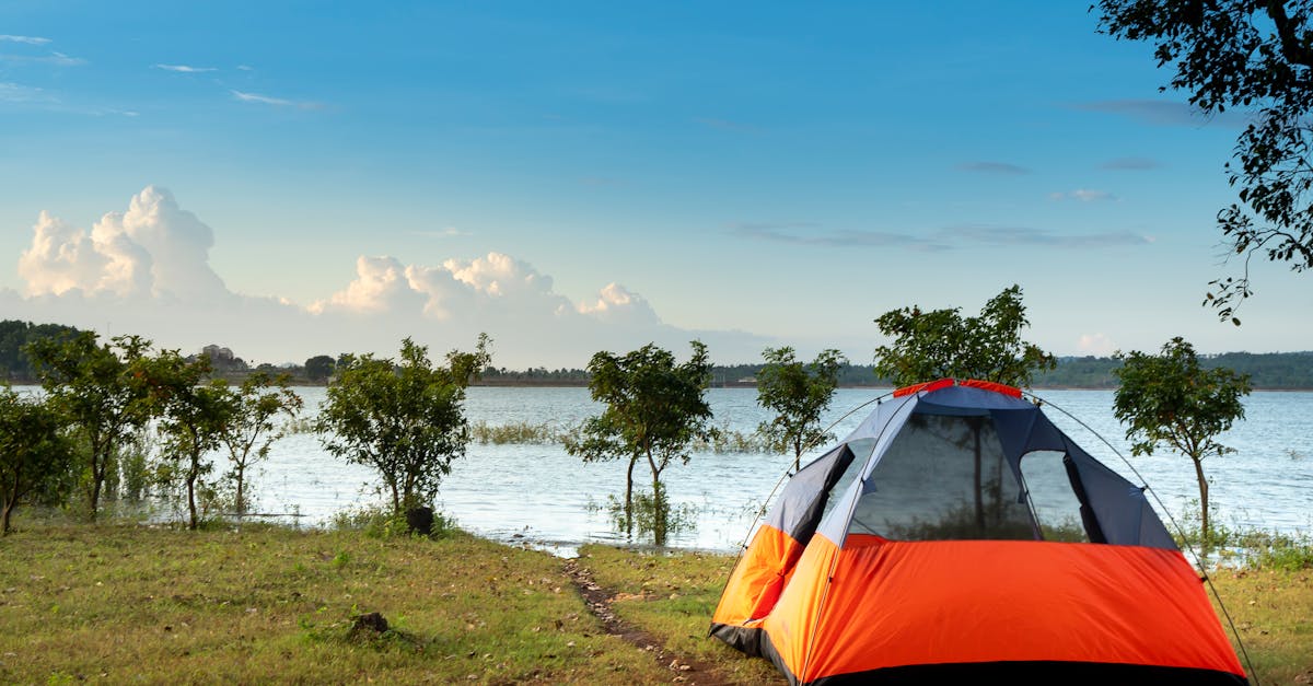 découvrez l'univers du camping : des conseils pour choisir votre emplacement, des astuces pour un séjour inoubliable en pleine nature, et des idées d'activités pour toute la famille.