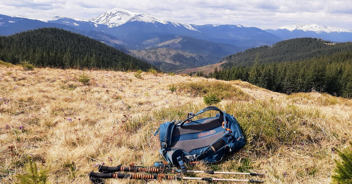 découvrez la liberté de voyager avec un camping-car ! explorez des paysages magnifiques, profitez d'un confort sur la route et vivez des aventures inoubliables. que vous soyez en famille, entre amis ou en solo, le camping-car est la solution idéale pour vos escapades en pleine nature.