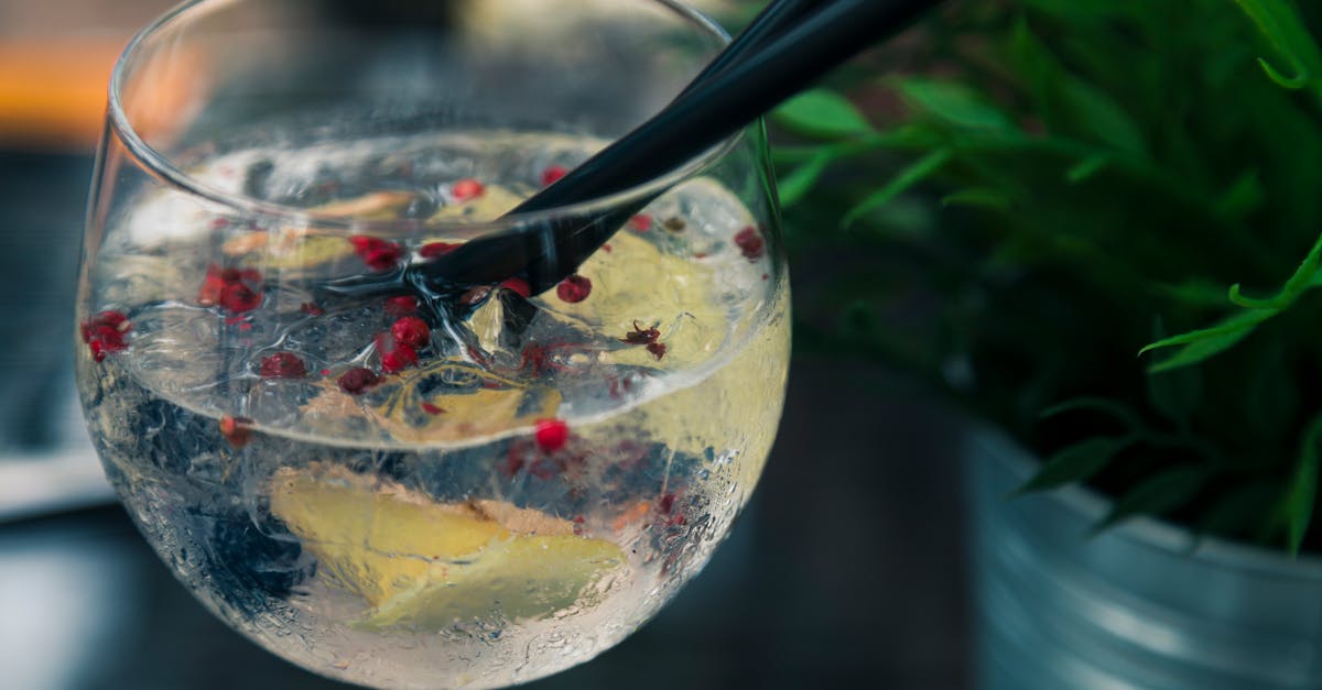 découvrez une variété de recettes de cocktails rafraîchissants et créatifs, parfaits pour toutes les occasions. que vous soyez amateur ou mixologue en herbe, trouvez l'inspiration pour éblouir vos invités avec des mélanges savoureux et élégants.