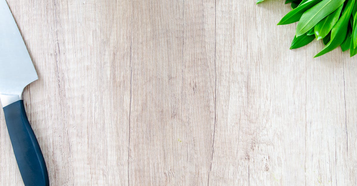 découvrez l'univers de la cuisine : recettes savoureuses, techniques culinaires, et conseils pratiques pour régaler vos proches. explorez des plats du monde entier et révélez le chef qui sommeille en vous.