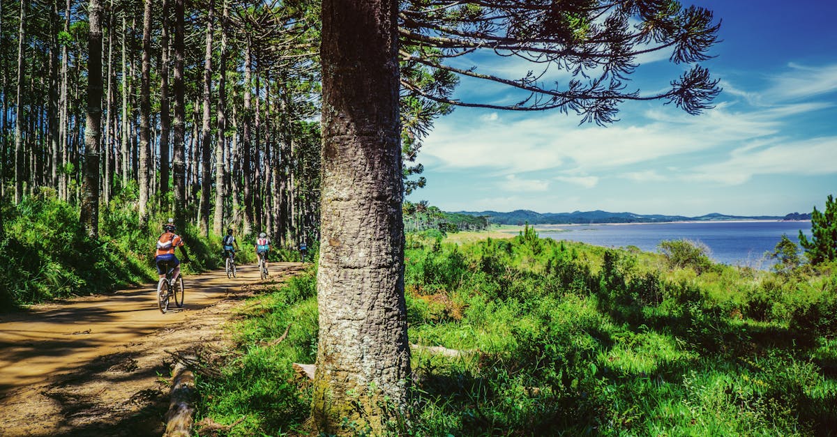 découvrez les meilleurs sentiers de cyclisme pour explorer la nature tout en pratiquant votre passion. que vous soyez un cycliste débutant ou expérimenté, trouvez des itinéraires adaptés à votre niveau et partez à l'aventure sur des pistes pittoresques.