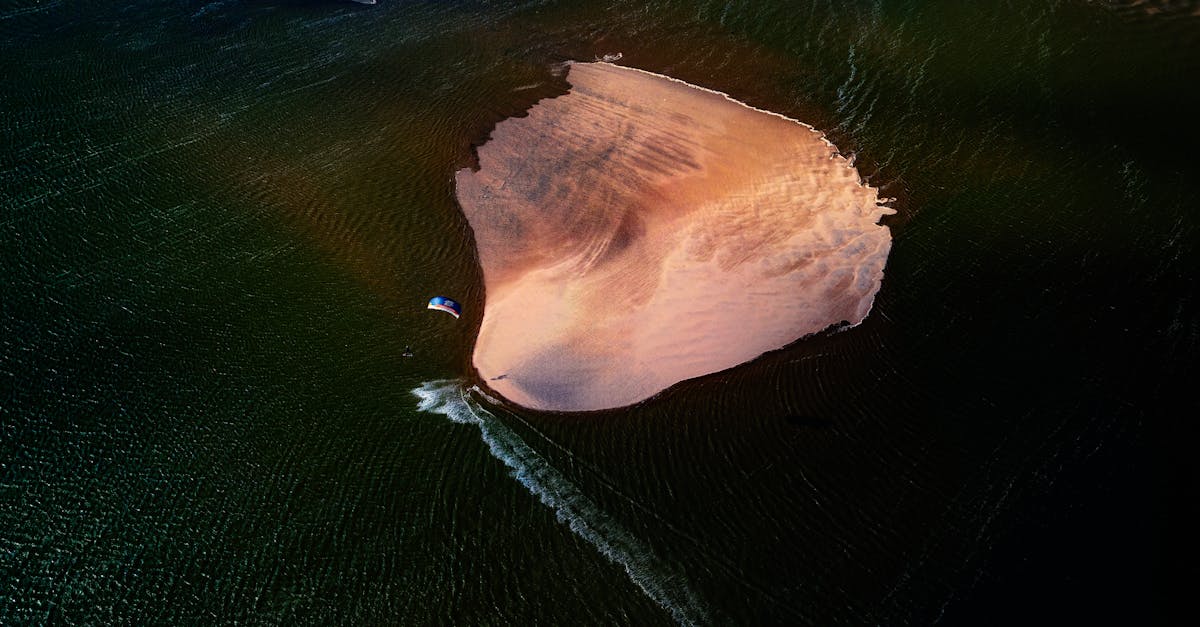 découvrez l'estuaire, un écosystème fascinant où l'eau douce des rivières rencontre l'eau salée de l'océan. explorez sa biodiversité unique, son importance écologique et les activités à y pratiquer pour profiter de la nature.