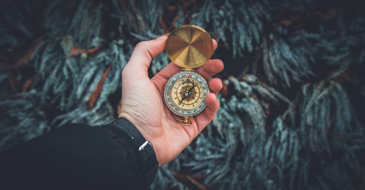 découvrez notre guide complet qui vous accompagnera à travers les étapes essentielles pour maîtriser divers sujets. des conseils pratiques aux astuces inédites, retrouvez tout ce qu'il vous faut pour réussir dans vos projets.