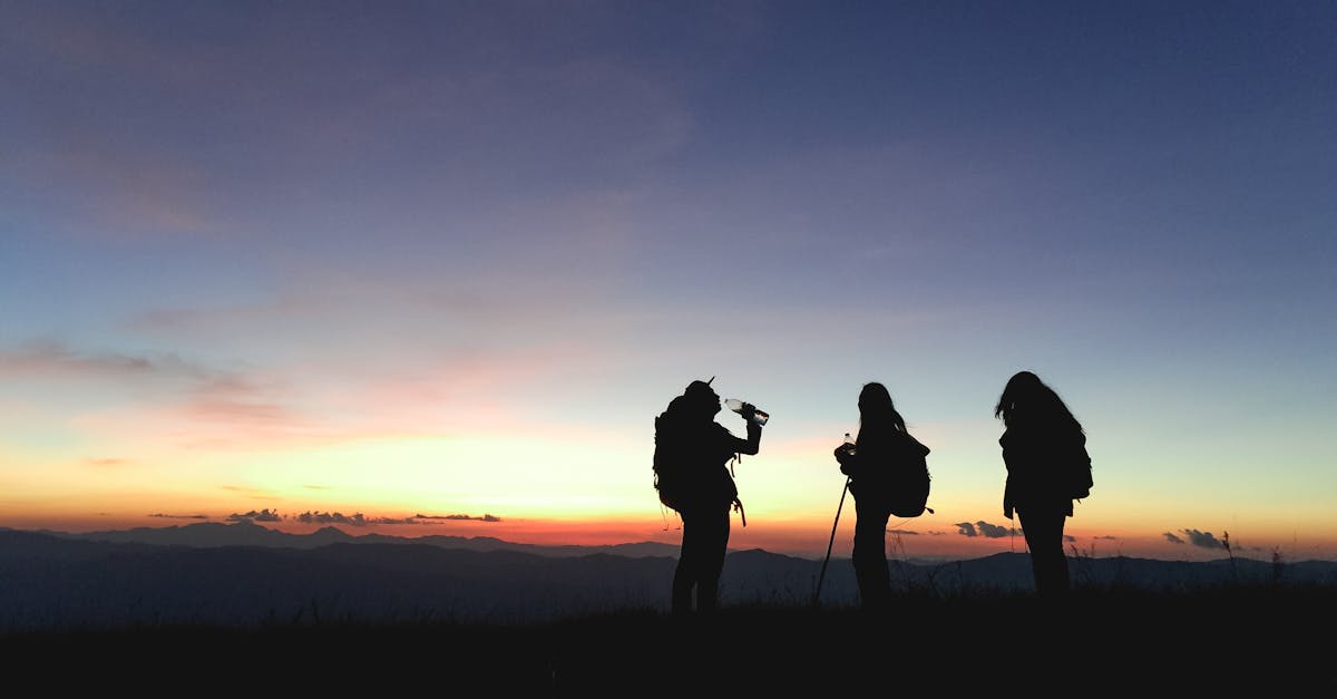 découvrez l'aventure ultime avec notre guide de randonnée. explorez des sentiers pittoresques, des conseils pour les randonneurs et des astuces pour profiter pleinement de votre expérience en pleine nature. préparez-vous à conquérir des sommets et à vous reconnecter avec la beauté des paysages.