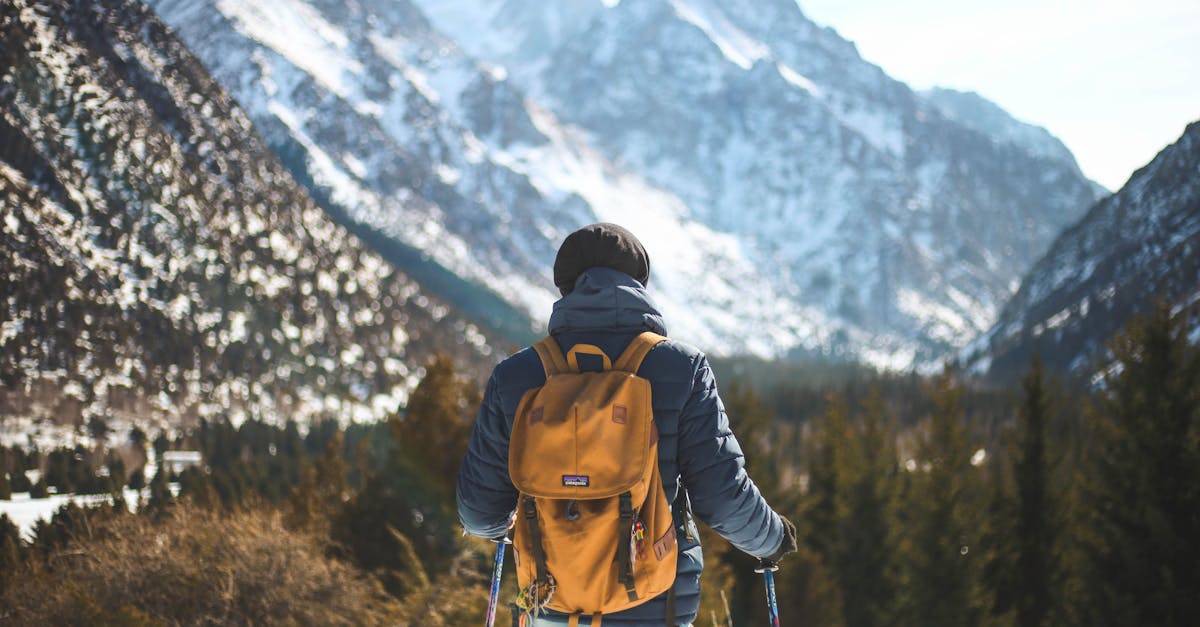 découvrez l'aventure du hiking, une activité enrichissante qui vous connecte à la nature. explorez des sentiers pittoresques, admirez des paysages à couper le souffle et améliorez votre santé physique et mentale tout en vous ressourçant dans l'environnement extérieur.