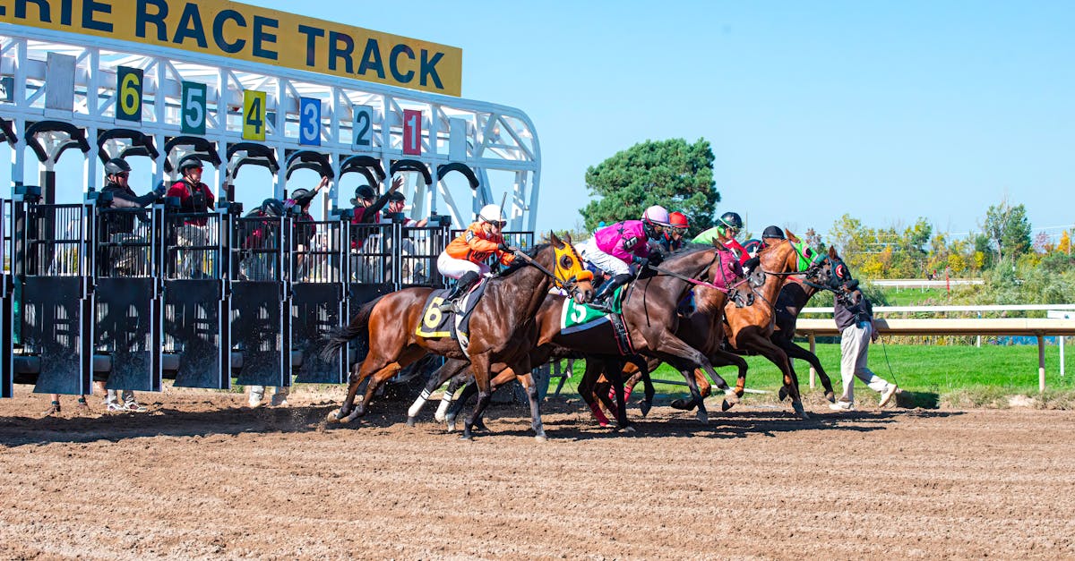 découvrez l'univers passionnant des courses de chevaux : enjeux, stratégies de paris, et profils des meilleurs chevaux et jockeys. plongez dans l'excitation des hippodromes et améliorez vos connaissances sur ce sport ancestral.