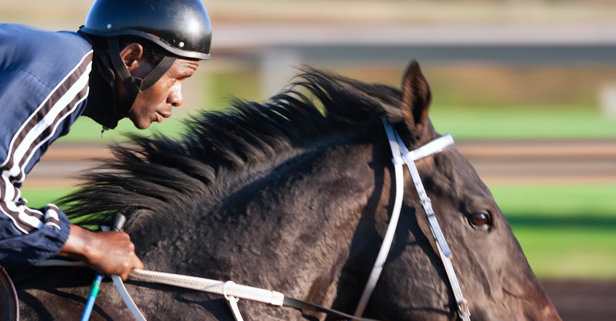 découvrez l'univers passionnant des courses de chevaux ! suivez les derniers événements, apprenez les stratégies de paris et explorez les profils des chevaux et jockeys. prenez part à l'excitation des courses et plongez dans un monde où vitesse et élégance se mêlent.