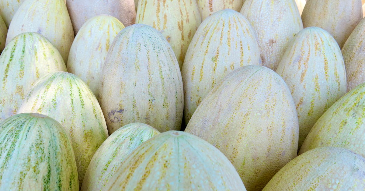 découvrez les producteurs locaux qui s'engagent pour une agriculture durable et des produits de qualité. savourez des saveurs authentiques tout en soutenant l'économie locale.