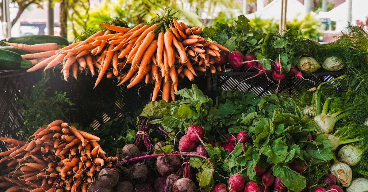 découvrez le monde dynamique des marchés : tendances, analyses et stratégies pour optimiser vos investissements. restez informé des opportunités et des défis de l'économie moderne.
