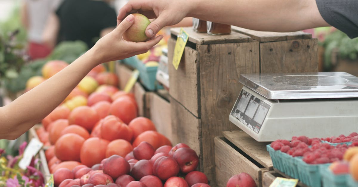 découvrez notre plateforme dédiée au marché, où vous pouvez explorer les tendances économiques, analyser les comportements d'achat et optimiser vos stratégies commerciales pour maximiser vos profits.
