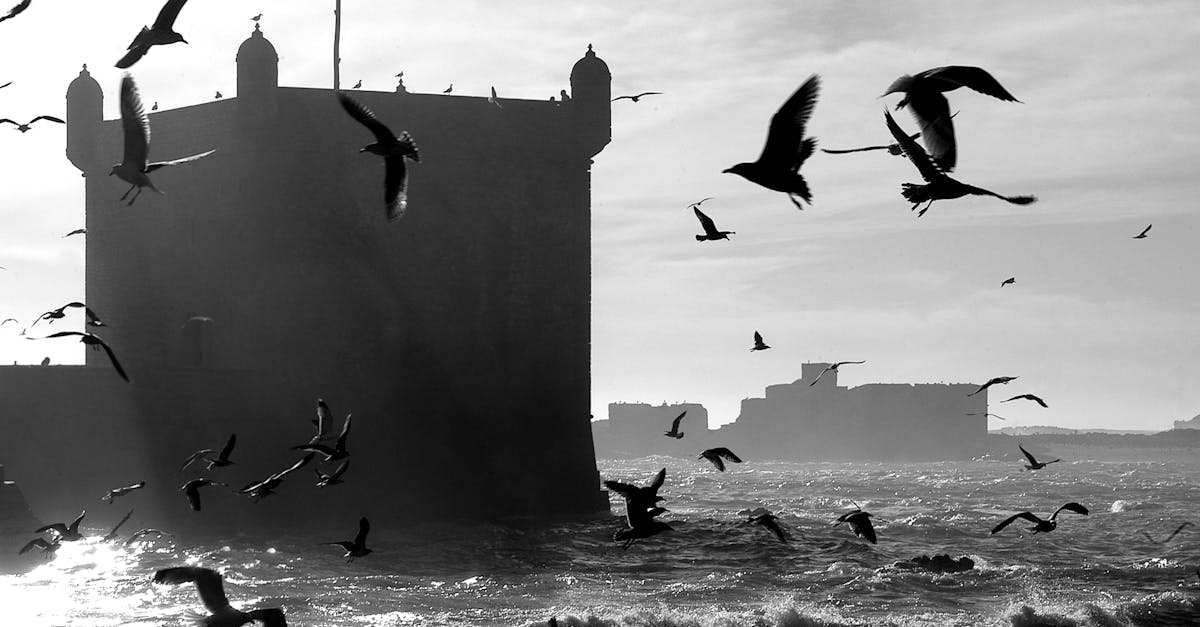 découvrez le charme unique de mogador, une ville historique du maroc, où l'architecture espagnole rencontre les plages de sable fin. plongez dans une culture riche, savourez une cuisine exquise et explorez des paysages enchanteurs.