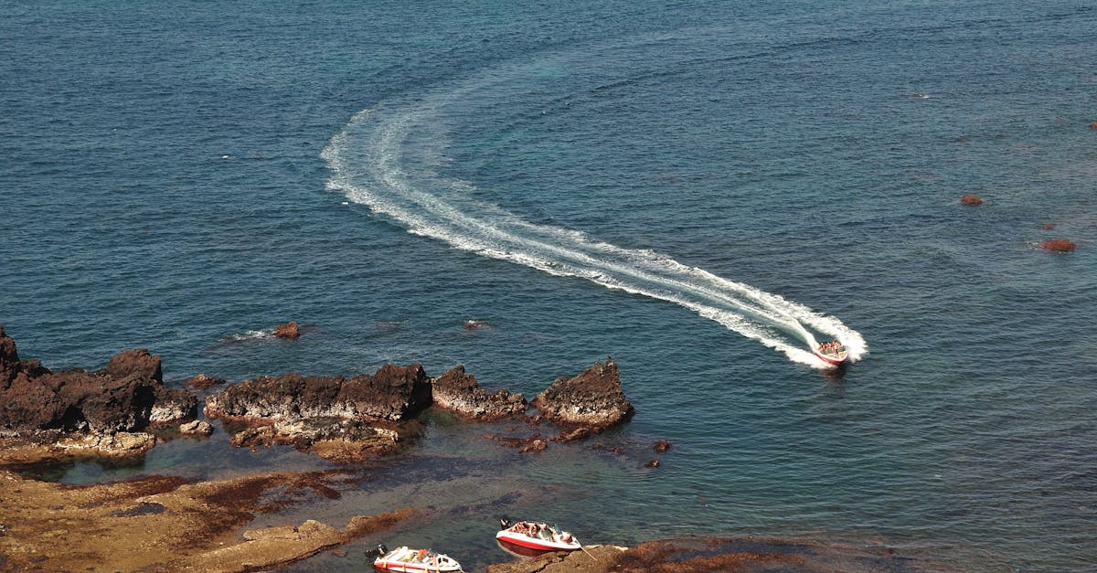 découvrez une gamme passionnante d'activités nautiques qui vous permettront de vivre des aventures inoubliables en mer. que vous soyez passionné de voile, de kayak, ou de plongée, trouvez l'activité qui correspond à vos envies et profitez des plaisirs de l'eau !
