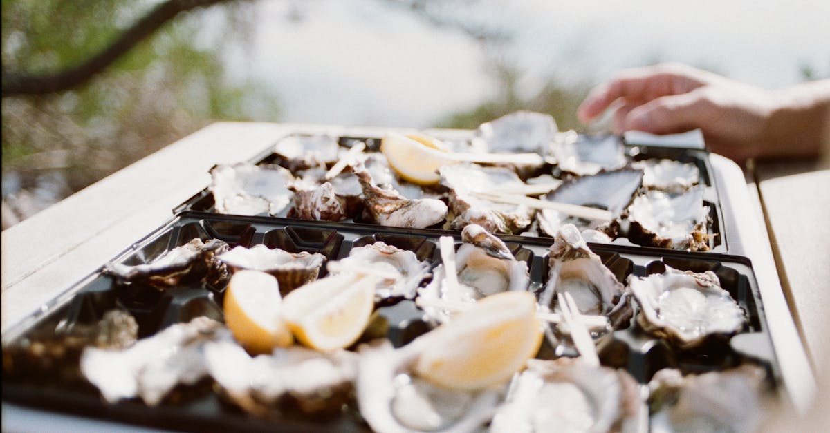 découvrez l'univers des huîtres, ces délices marins riches en saveurs et en bienfaits. apprenez tout sur leur culture, leur dégustation et les différentes variétés qui raviront vos papilles.