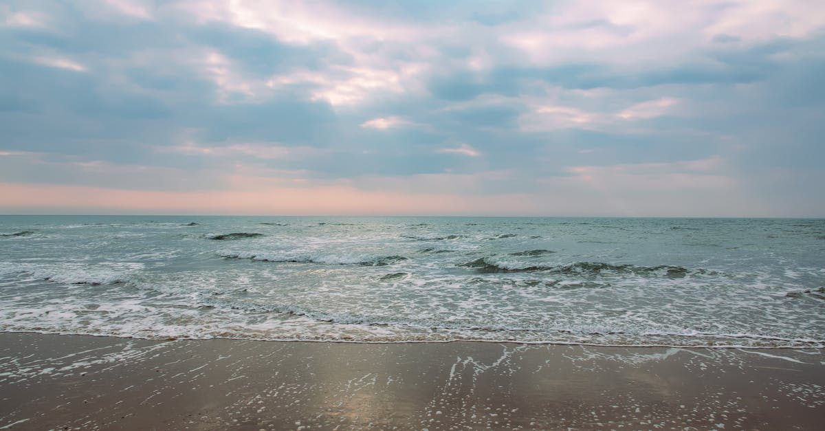 découvrez royan, une charmante station balnéaire située sur la côte atlantique. profitez de ses plages de sable fin, de son port animé et de ses attractions touristiques uniques, tout en explorant la beauté naturelle de cette région de la charente-maritime.