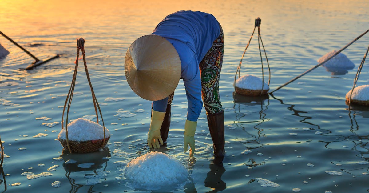 découvrez l'univers fascinant des saliculteurs, ces artisans passionnés qui extraient le sel de manière traditionnelle. apprenez leurs techniques ancestrales et l'importance de leur métier pour l'environnement et la gastronomie.