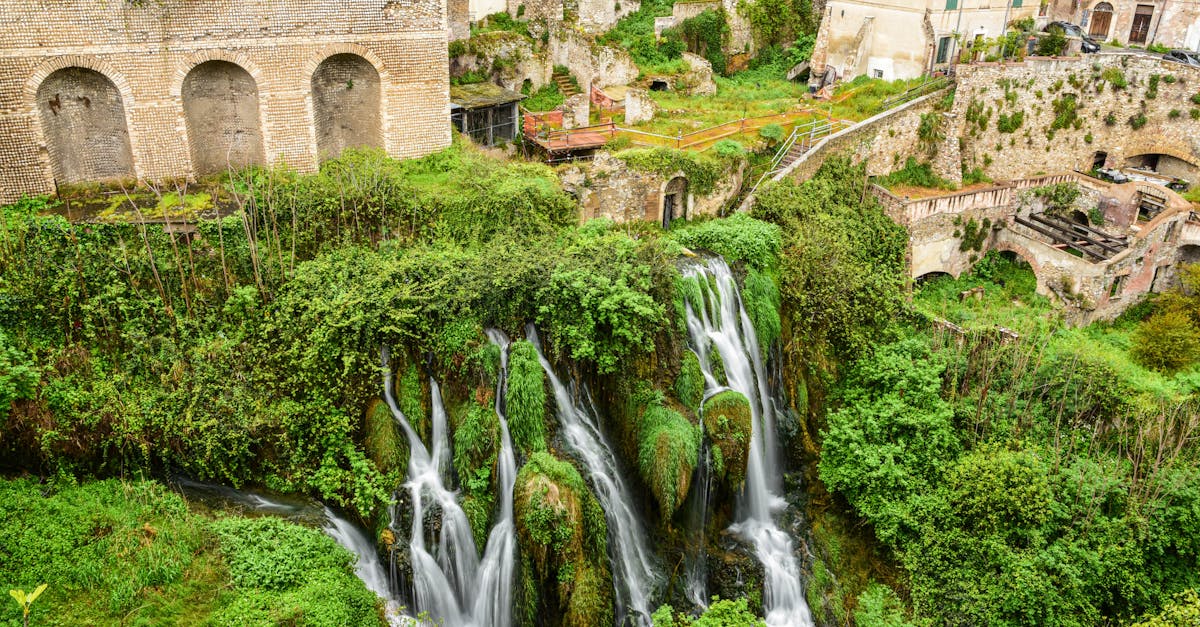 découvrez tivoli, un lieu enchanteur mêlant culture, divertissement et nature. profitez des jardins magnifiques, des attractions palpitantes et des spectacles mémorables dans cet incontournable de la culture danoise.