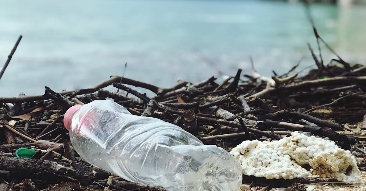 découvrez les meilleures pratiques de gestion des déchets pour un avenir durable. apprenez comment réduire, réutiliser et recycler efficacement vos déchets, tout en contribuant à la protection de l'environnement. engagés pour une planète plus propre.